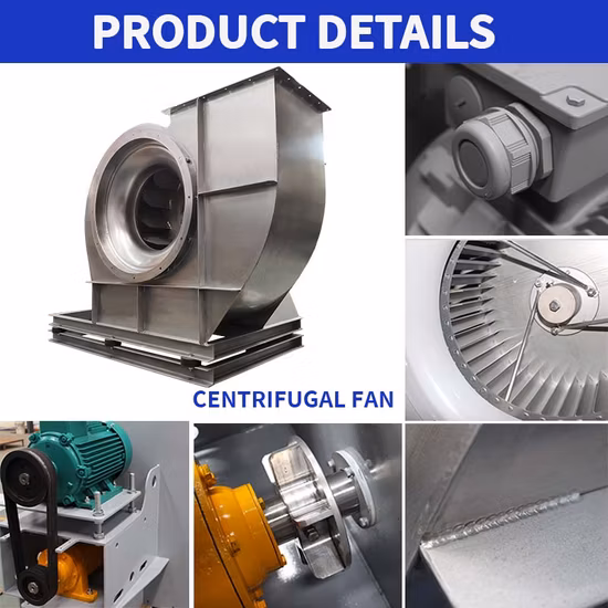 China API Standard 673 V-Belt Driven Exhaustor High Volume Wood Dust Conveying 1450 Rpm Extractor Centrifugal Fan for Petroleum